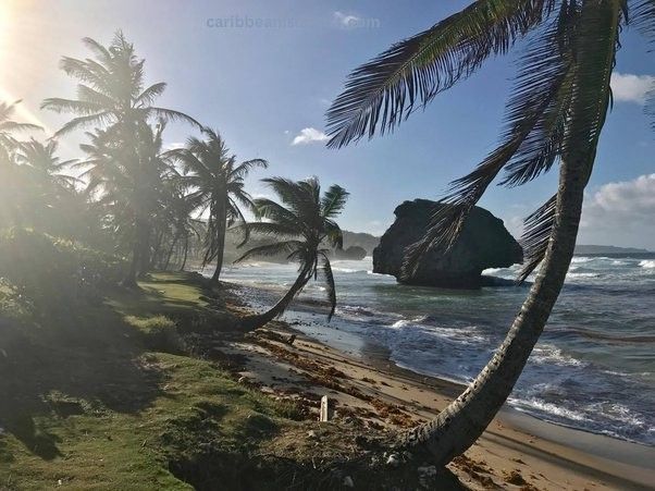 Bottom Bay beach is located on the east coast of Barbados